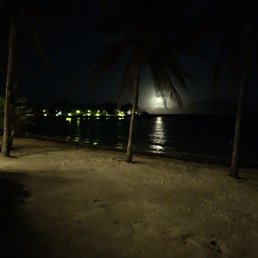 Moon Moon