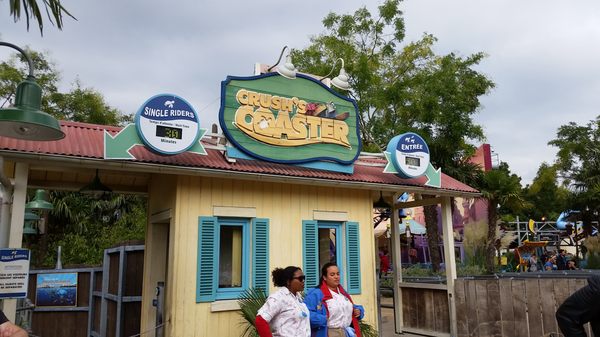 Crush's Coaster by null