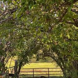 Dickherber Farms - Beautiful farm views