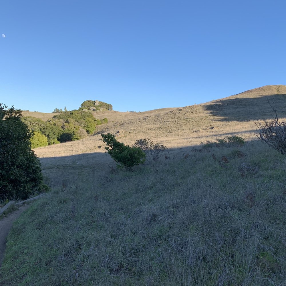 Ring Mountain Preserve - Parks Near Me - Corte Madera, California Ring Mountain Preserve - Parks Near Me - Corte Madera, California