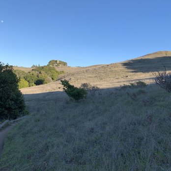 Ring Mountain Preserve - Parks Near Me - Corte Madera, California Ring Mountain Preserve - Parks Near Me - Corte Madera, California