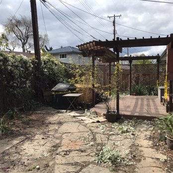 Blue Ox Tree Service - After - Tree Services Near Me - Santa Clara, California