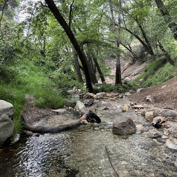 Mt. Wilson Trail - Parks Near Me - Sierra Madre, California Mt. Wilson Trail - Parks Near Me - Sierra Madre, California