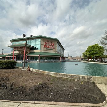 Ocean Palace - Dim Sum Near Me - Houston, Texas Ocean Palace - Dim Sum Near Me - Houston, Texas