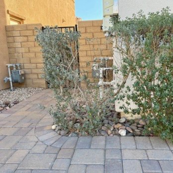 MGR Property Management - dead bush next to garage - Property Management Near Me - Ontario, California MGR Property Management - dead bush next to garage - Property Management Near Me - Ontario, California