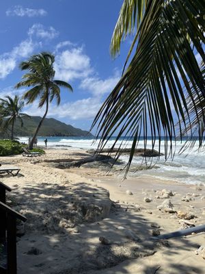 Carambola Beach Resort St. Croix, US Virgin Islands by null