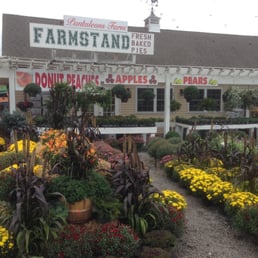 Fall produce and end of summer flowers in full swing! Fall produce and end of summer flowers in full swing!