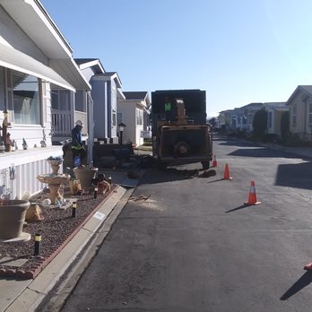 Harold R Brazee Company - see the chainsaw next to the pot. worker was filling it right before picture was taken - Tree Services Near Me - Chatsworth, California Harold R Brazee Company - see the chainsaw next to the pot. worker was filling it right before picture was taken - Tree Services Near Me - Chatsworth, California