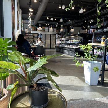 E Rose Wellness - inside - Vegan Near Me - Nashville, Tennessee E Rose Wellness - inside - Vegan Near Me - Nashville, Tennessee