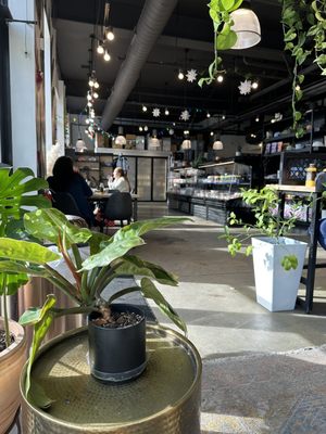 E+ROSE Wellness Cafe - Wedgewood-Houston by null