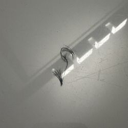 Amazing Lash Studio