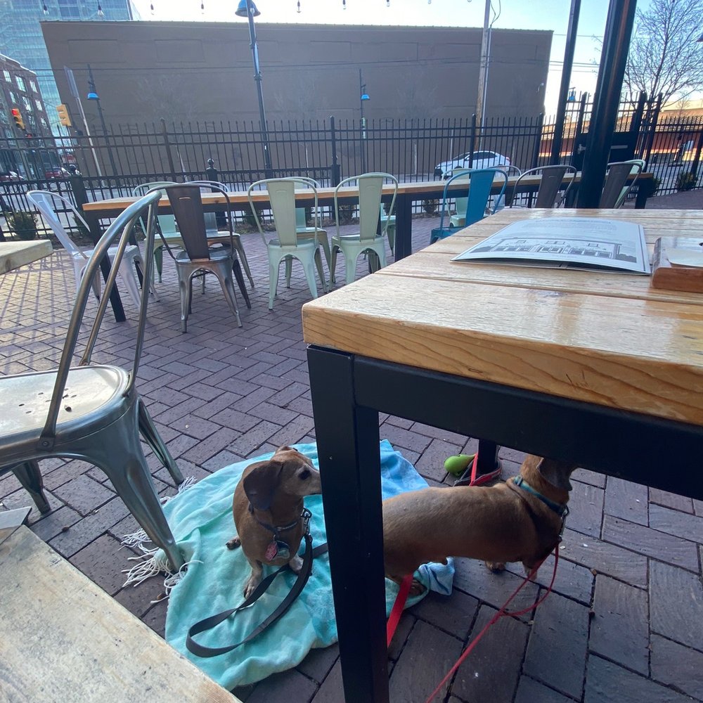 McNellie's - Dog friendly patio - Pubs Near Me - Tulsa, Oklahoma McNellie's - Dog friendly patio - Pubs Near Me - Tulsa, Oklahoma