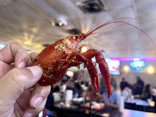 Mike's Seafood by null