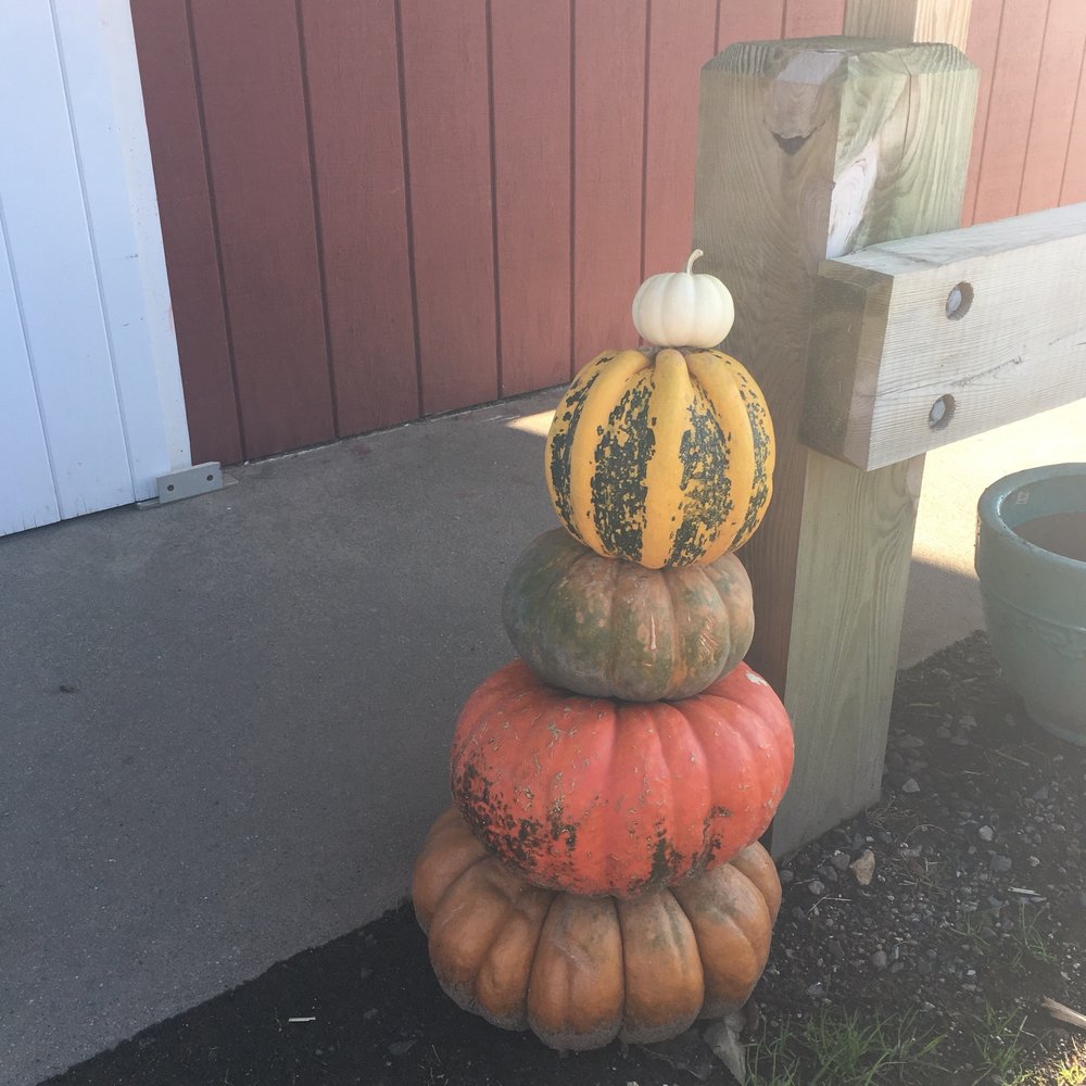 Hindinger Farm - Fruits & Veggies Near Me - Hamden, Connecticut