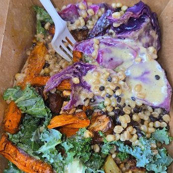 Vegetation Cafe & Kitchen - Big Maple Dijon Veg Bowl-gold potatoes, maple tofu, carrots & red cabbage, wheat berries, kale, black lentils, walnuts & dried cranberries - Vegan Near Me - Lakeland, Florida Vegetation Cafe & Kitchen - Big Maple Dijon Veg Bowl-gold potatoes, maple tofu, carrots & red cabbage, wheat berries, kale, black lentils, walnuts & dried cranberries - Vegan Near Me - Lakeland, Florida