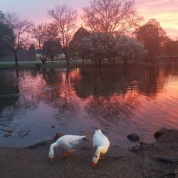 Yoctangee Park