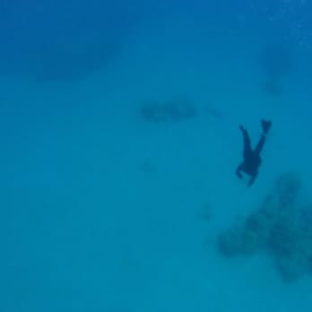 Pure Aloha Adventures - Tours Near Me - Honolulu, Hawaii