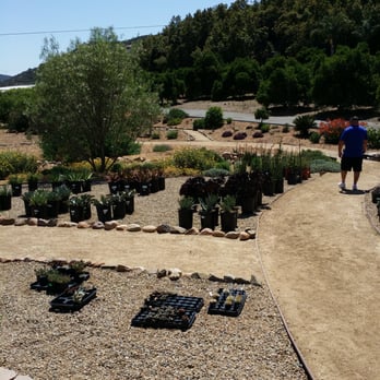 Oasis Water Efficient Gardens - Nurseries & Gardening Near Me - Escondido, California
