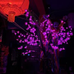 7 Bamboo Lounge - Decor