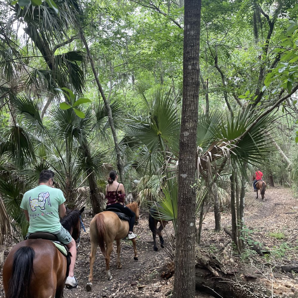 Sun City Stables - Horseback Riding Near Me - Sun City, Florida