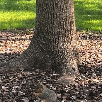 Heritage Park - They expect you to feed them - Parks Near Me - Santa Fe Springs, California