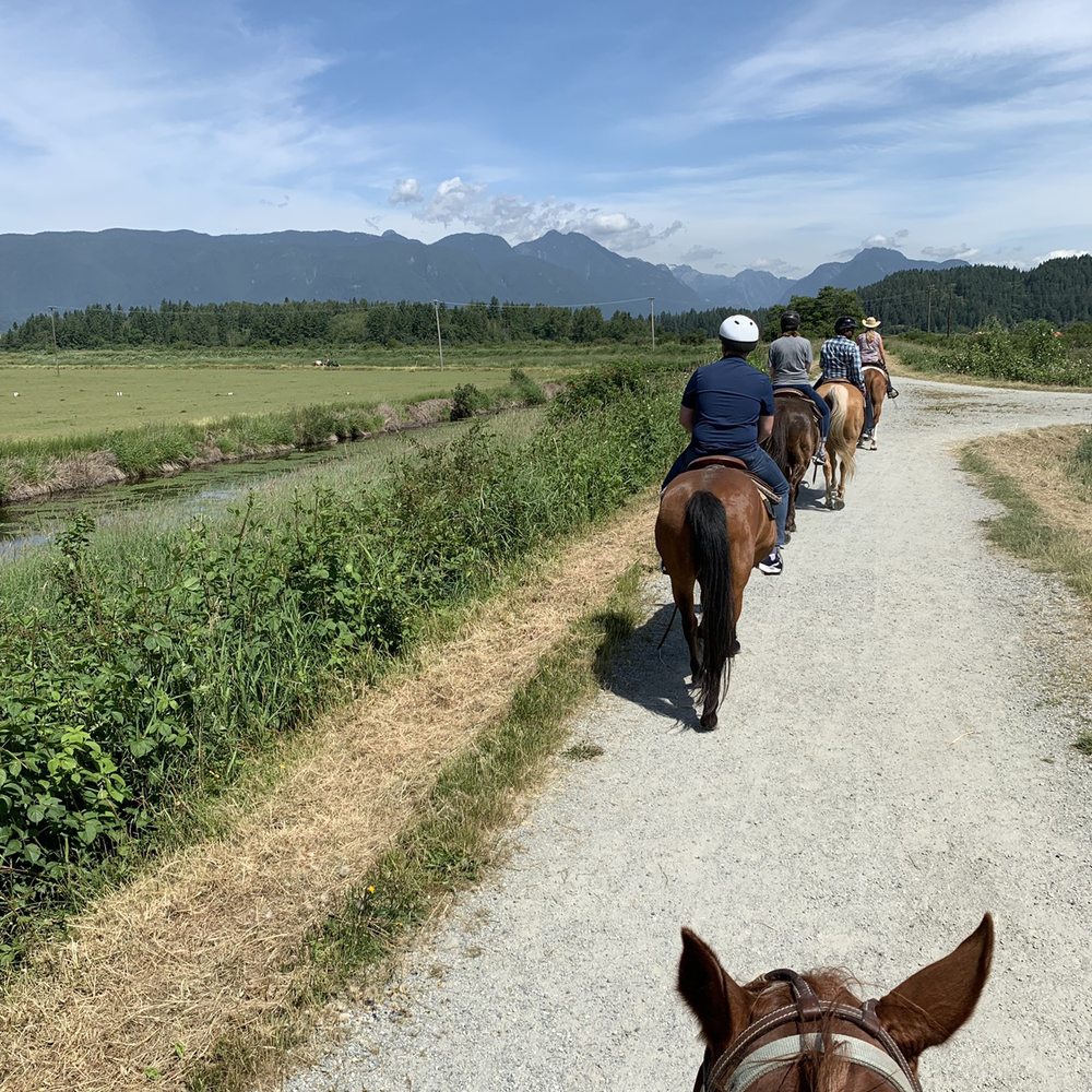 Leghorn Ranch - Horseback Riding Near Me - Pitt Meadows, British Columbia Leghorn Ranch - Horseback Riding Near Me - Pitt Meadows, British Columbia