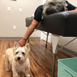Vital Chiropractic
