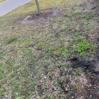 JG Landscaping Pro - Front yard - Lawn Services Near Me - St. Augustine, Florida