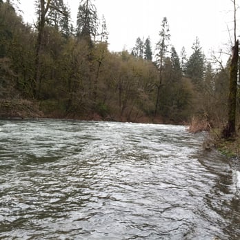 Lewisville Regional Park - East Fork Lewis River - Lewisville Regional Park - Parks Near Me - Battle Ground, Washington Lewisville Regional Park - East Fork Lewis River - Lewisville Regional Park - Parks Near Me - Battle Ground, Washington