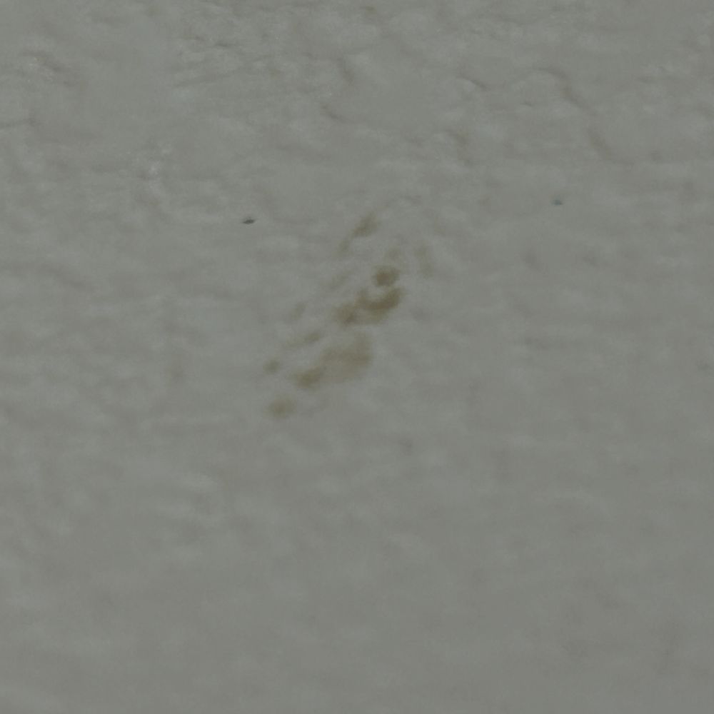Flooring Direct - Flooring Near Me - Dallas, Texas
