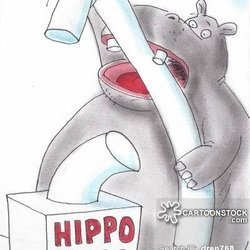 Hutto Dental