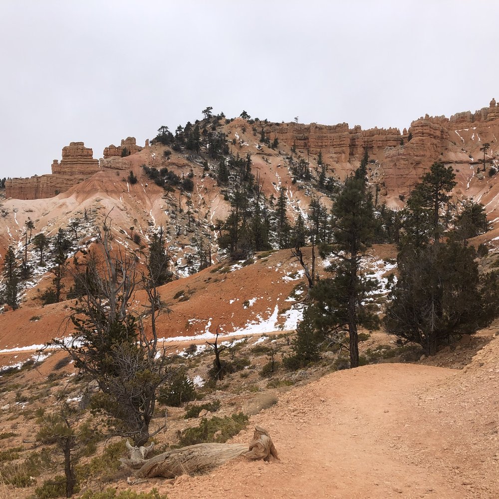 Fairyland Loop Trail - Hiking Near Me - Bryce Canyon, Utah
