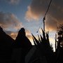 Photo of Masca