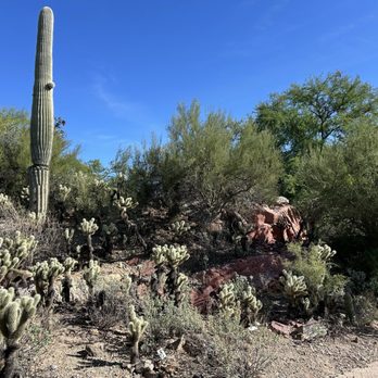 Arizona-Sonora Desert Museum - Museums Near Me - Tucson, Arizona