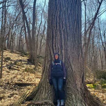 High Cliff State Park - Big trees! - Parks Near Me - Sherwood, Wisconsin High Cliff State Park - Big trees! - Parks Near Me - Sherwood, Wisconsin
