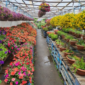 Wright's Farm - Excellent selection and flower variety - Fruits & Veggies Near Me - Gardiner, New York Wright's Farm - Excellent selection and flower variety - Fruits & Veggies Near Me - Gardiner, New York