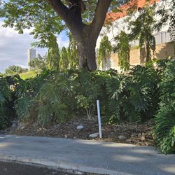 Oahu Urban Garden Center