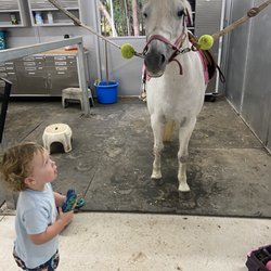 Durham Equestrian Club