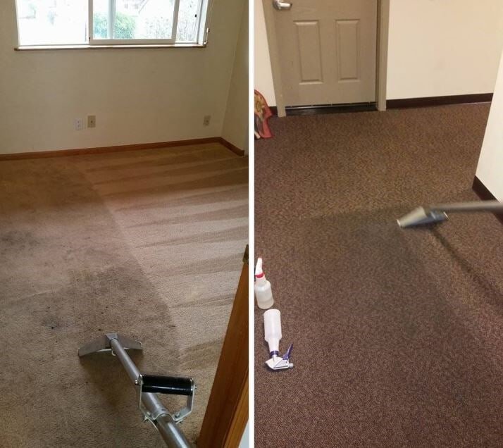 JOHNSON’S CARPET CLEANING Updated September 2024 Springfield