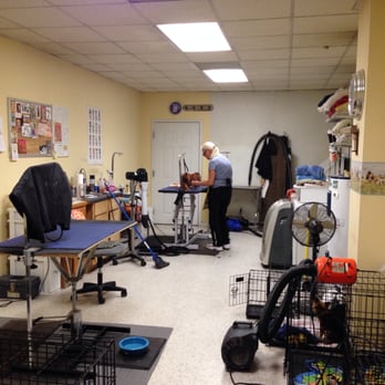 Wags & Whiskers - Grooming - Pet Stores Near Me - North Myrtle Beach, South Carolina Wags & Whiskers - Grooming - Pet Stores Near Me - North Myrtle Beach, South Carolina