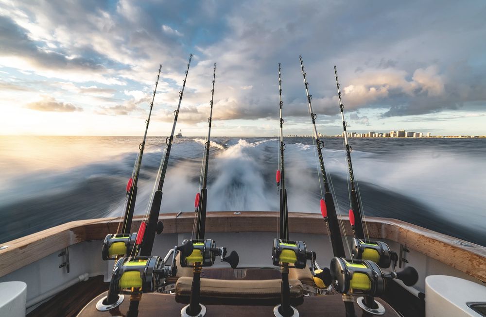 Angler Charter Logo