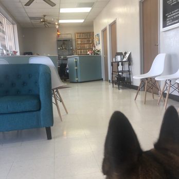 Brown Road Animal Clinic - Spacious - Veterinarians Near Me - Mesa, Arizona Brown Road Animal Clinic - Spacious - Veterinarians Near Me - Mesa, Arizona