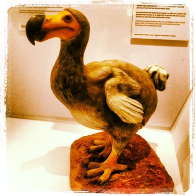 Museum of Natural Sciences of Barcelona by null