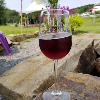 Bella Terra Vineyards - Wineries Near Me - Hunker, Pennsylvania Bella Terra Vineyards - Wineries Near Me - Hunker, Pennsylvania