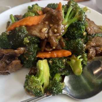 Yummy House - Beef and Broccoli - Chinese Near Me - Altamonte Springs, Florida Yummy House - Beef and Broccoli - Chinese Near Me - Altamonte Springs, Florida