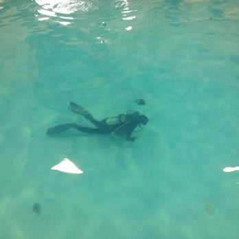 Rogue Aquatics - Scuba Diving Near Me - Central Point, Oregon Rogue Aquatics - Scuba Diving Near Me - Central Point, Oregon