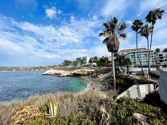 Lifeguard La Jolla Cove by null