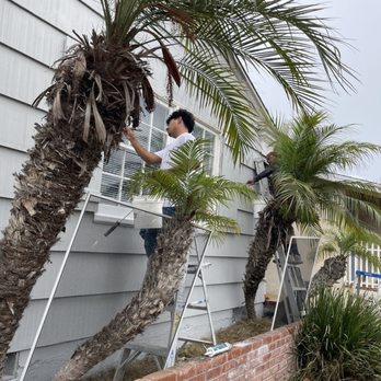 Finish Line Painting Services - Hand painted window panels - Painters Near Me - Encinitas, California Finish Line Painting Services - Hand painted window panels - Painters Near Me - Encinitas, California