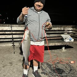 Antioch Oakley Regional Shoreline - Good day fishing thank you Jesus Christ for another blessed day amen IG:febronio_mendoza650