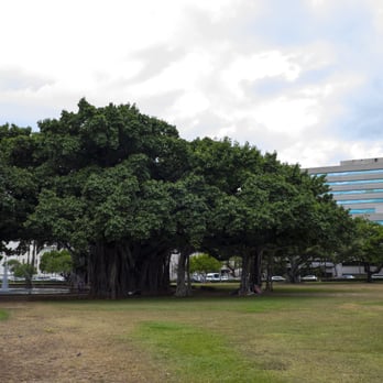 Thomas Square - Parks Near Me - Honolulu, Hawaii